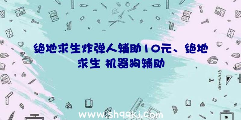 绝地求生炸弹人辅助10元、绝地求生